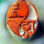 上原・判子②hp